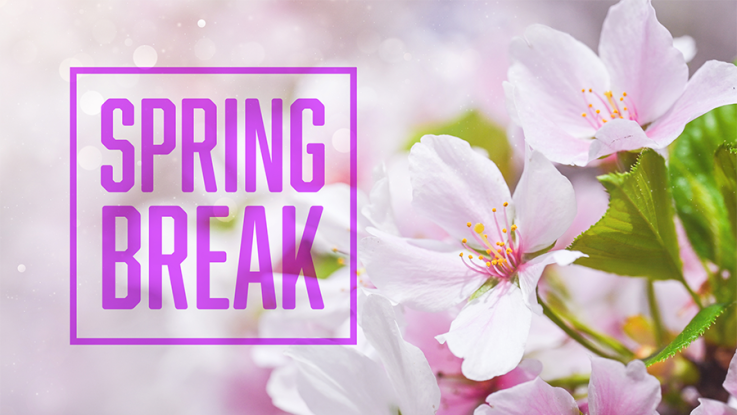 A vivid graphic that is pink in color with text that reads "spring break."