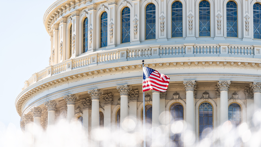 close-up of a capital building