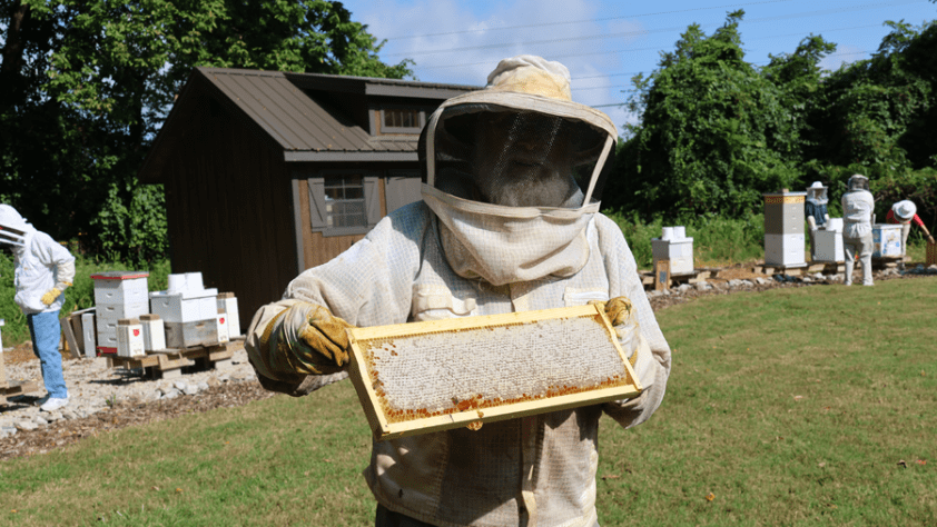 A man wearing a beekeeping suit holds a honeycomb super.