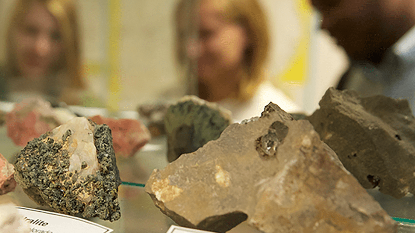 Students analyzing a variety of rocks