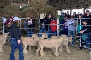 A group of students with pens and paper stand outside an animal pen containing five numbered sheep and a woman.