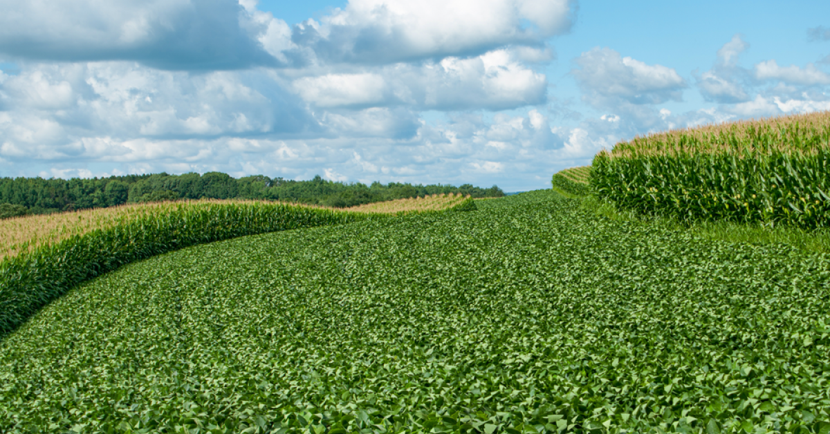 Certified Crop Advisor Exam Passing Score