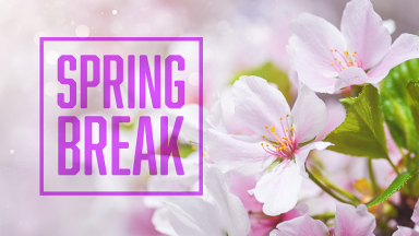 A vivid graphic that is pink in color with text that reads "spring break."